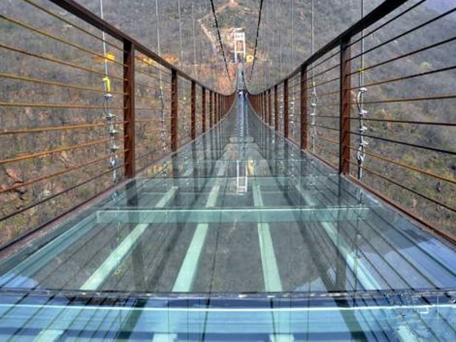 玻璃吊桥 (10)