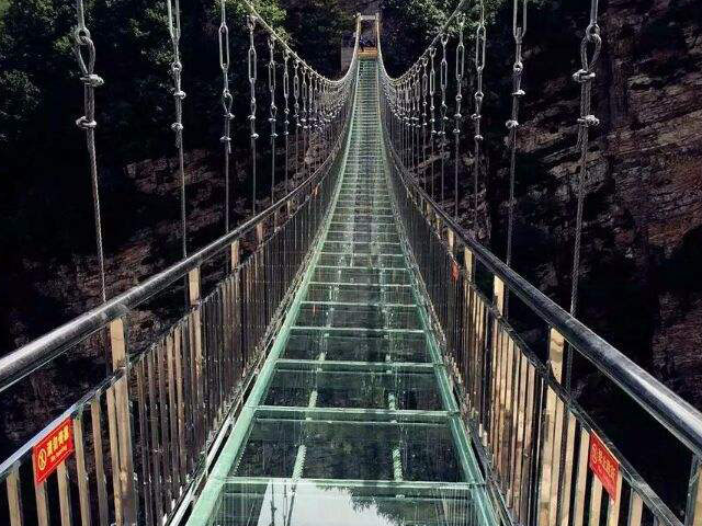 玻璃吊桥 (8)